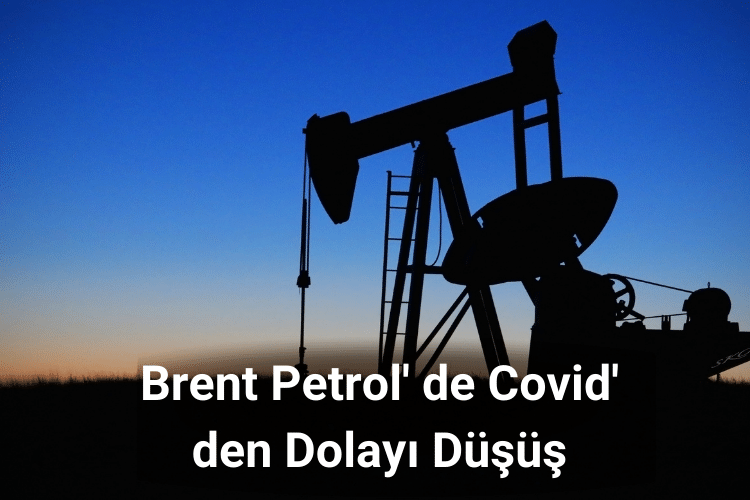Brent Petrol