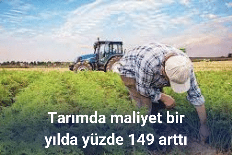 Tarımda maliyet bir yılda yüzde 149 arttı