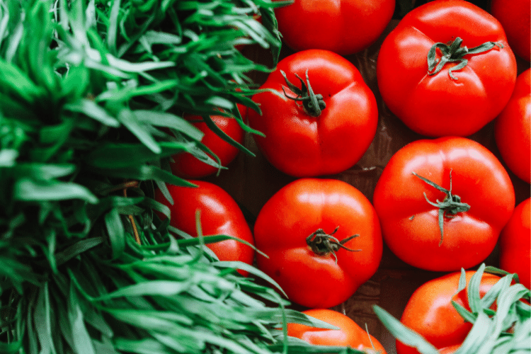 Sera-Bir: Kışın domates 50 TL olacak